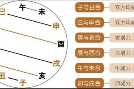 男命地支多合的奥秘与人生启示