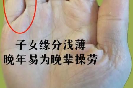 女人手上七个斗是什么命？解密手相背后的秘密与人生指引！