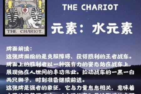 探寻命运中的精彩：加点词语的深意与启示
