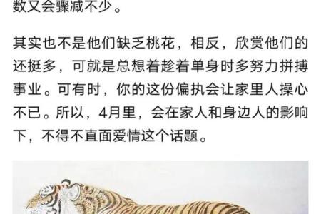 炉中火命与其他命局的缘分，如何选择最佳搭配？