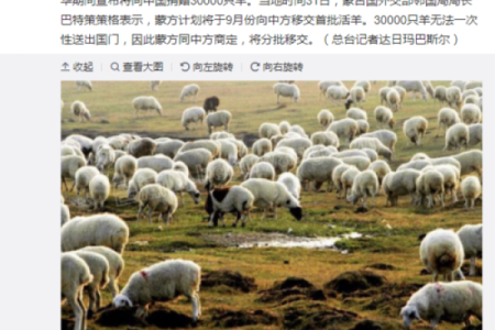 满羊命的深刻内涵与人生启示探讨
