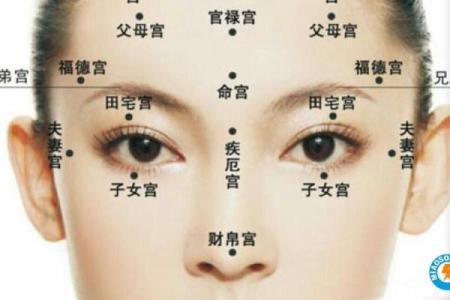揭秘男人面相：哪些特征暗示他命运亨通、福气满满？