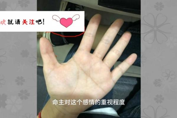 男友口中的“这就是命”,我们应该如何理解生命中的无奈与必然? 男友口中的“这就是命”,我们应该如何理解生命中的无奈与必然?