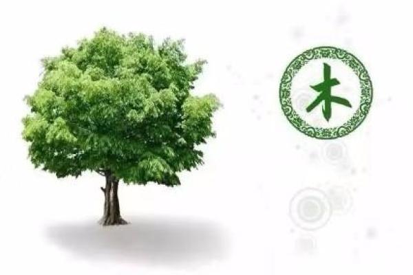 探秘六月初一出生者的命理与性格特征 探秘六月初一出生者的命理与性格特征