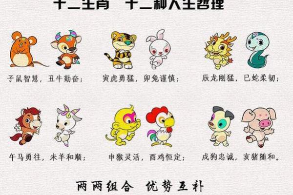 命稀与生肖:命运薄弱的生肖解析与人生启示 命稀与生肖:命运薄弱的生肖解析与人生启示
