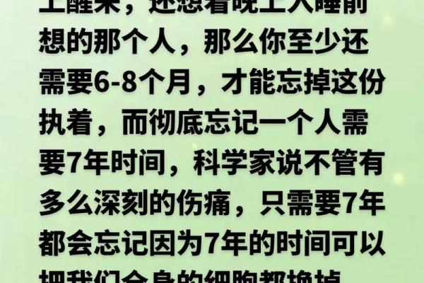 拼了命要忘记的人:心灵的挣扎与释怀 拼了命要忘记的人:心灵的挣扎与释怀