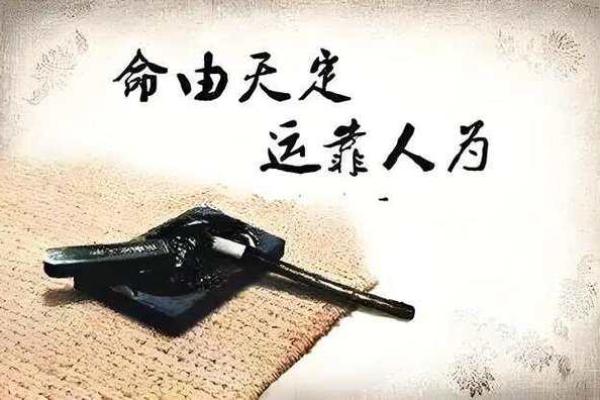 命藏之道:揭示命运背后的深意与智慧 命藏之道:揭示命运背后的深意与智慧