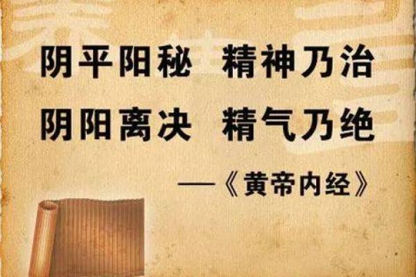 命藏之道:揭示命运背后的深意与智慧 命藏之道:揭示命运背后的深意与智慧