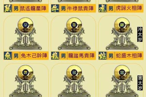 命局缺陷与生肖运势的深度解读 命局缺陷与生肖运势的深度解读