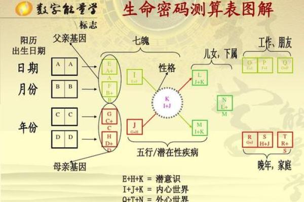 探索1979年命格:你的命运密码在这里揭晓! 探索1979年命格:你的命运密码在这里揭晓!