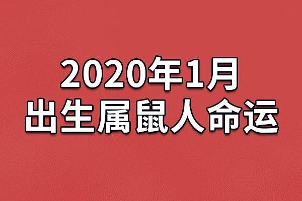 揭秘2005年3月17日出生者的命运与性格特点 揭秘2005年3月17日出生者的命运与性格特点