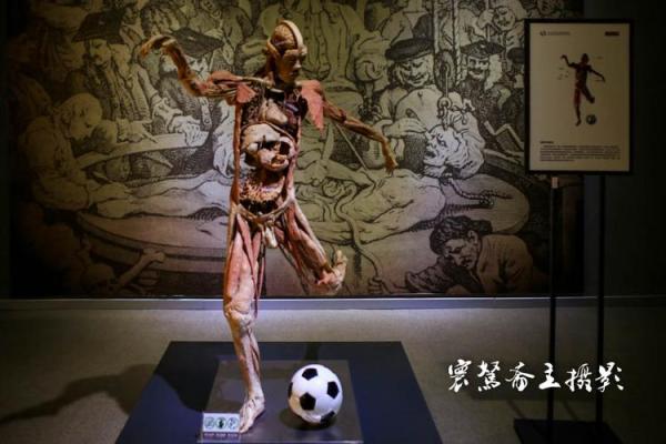 探寻命藏之的奥秘:命与生活的深刻联系 探寻命藏之的奥秘:命与生活的深刻联系