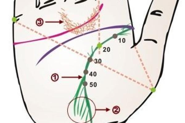 探讨楼层与命理的微妙关系,从居住环境看人生运势的变化 探讨楼层与命理的微妙关系,从居住环境看人生运势的变化