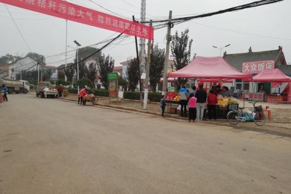 探索九月13日出生者的命理与性格特征 探索九月13日出生者的命理与性格特征