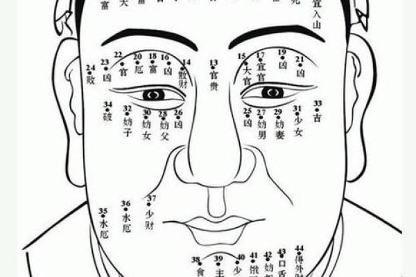 揭秘男人面相:哪些特征预示着富贵命运? 揭秘男人面相:哪些特征预示着富贵命运?