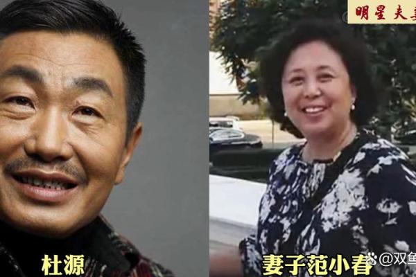 命里损妻子:命运与感情的深刻探讨 命里损妻子:命运与感情的深刻探讨