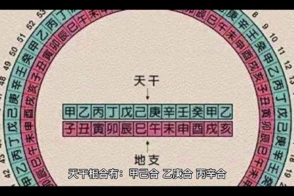 男命天干相合的深层意义与人生启示 男命天干相合的深层意义与人生启示
