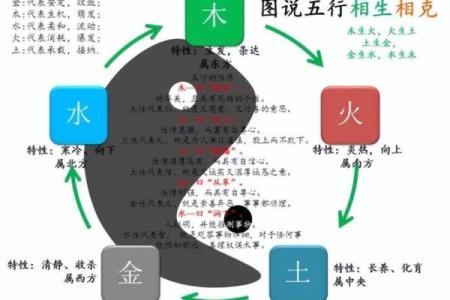 木命配偶选择指南：找到最和谐的命理搭档！