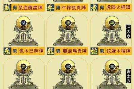 命局缺陷与生肖运势的深度解读