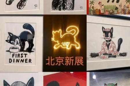 猫有九条命，生肖中的神秘象征与启示