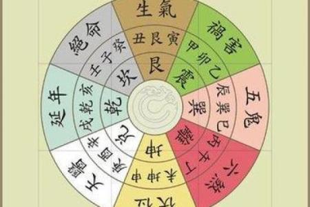 命卦离命东四命解析：揭示命理与生活的深刻联系