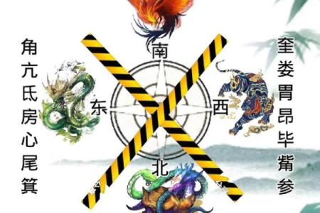 命占室壁女虚危：探索命理与生活的关系