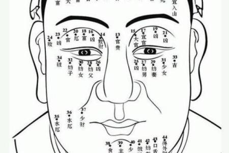 揭秘男人面相：哪些特征预示着富贵命运？