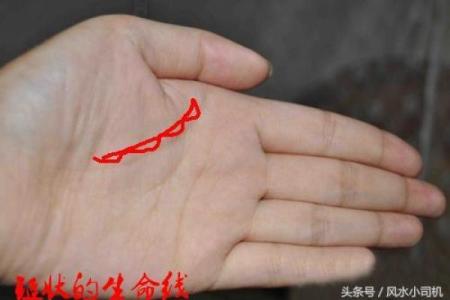 牛年冬月初八的命理解析与人生启示