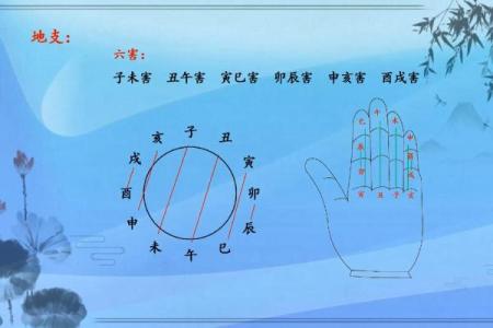 牛进食时辰与命理的奇妙关联探索